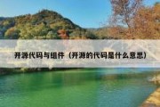 开源代码与组件（开源的代码是什么意思）