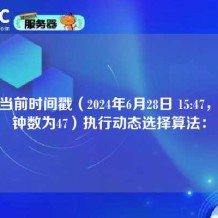 根据当前时间戳（2024年6月28日 15:47，即分钟数为47）执行动态选择算法：
