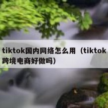 tiktok国内网络怎么用（tiktok跨境电商好做吗）