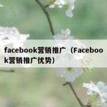 facebook营销推广（Facebook营销推广优势）