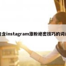 包含instagram涨粉绝密技巧的词条