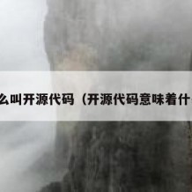 什么叫开源代码（开源代码意味着什么）