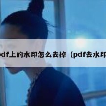 pdf上的水印怎么去掉（pdf去水印）