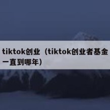 tiktok创业（tiktok创业者基金一直到哪年）