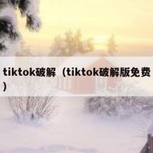 tiktok破解（tiktok破解版免费）