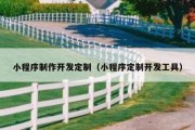小程序制作开发定制（小程序定制开发工具）