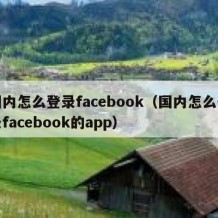 国内怎么登录facebook（国内怎么登录facebook的app）