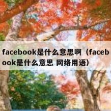 facebook是什么意思啊（facebook是什么意思 网络用语）