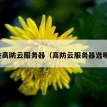 枣庄高防云服务器（高防云服务器选哪家）