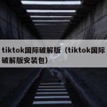 tiktok国际破解版（tiktok国际破解版安装包）