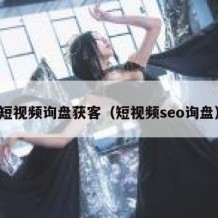 短视频询盘获客（短视频seo询盘）