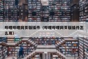 哔哩哔哩网页版插件（哔哩哔哩网页版插件怎么用）