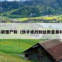 快手刷僵尸粉（快手修改粉丝数量黑科技）