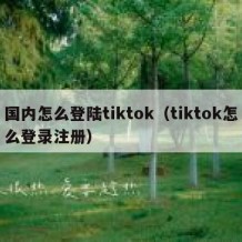 国内怎么登陆tiktok（tiktok怎么登录注册）