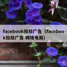 facebook投放广告（facebook投放广告 跨境电商）