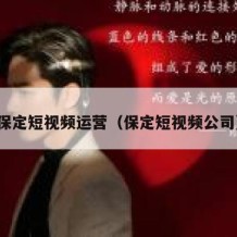 保定短视频运营（保定短视频公司）