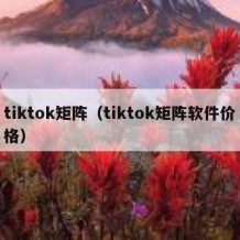 tiktok矩阵（tiktok矩阵软件价格）