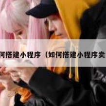 如何搭建小程序（如何搭建小程序卖货）