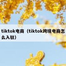tiktok电商（tiktok跨境电商怎么入驻）