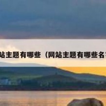 网站主题有哪些（网站主题有哪些名字）