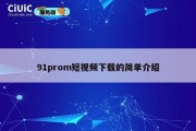 91prom短视频下载的简单介绍