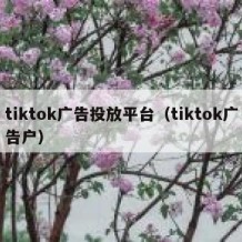tiktok广告投放平台（tiktok广告户）