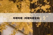 哔哩哔哩（哔哩哔哩官网）