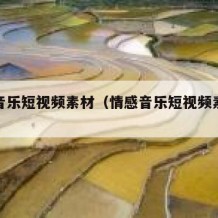 情感音乐短视频素材（情感音乐短视频素材图片）