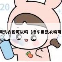 刷车用洗衣粉可以吗（擦车用洗衣粉可以吗）