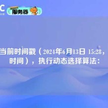 根据当前时间戳（2024年6月13日 15:28，北京时间），执行动态选择算法：