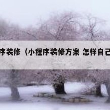 小程序装修（小程序装修方案 怎样自己设计）