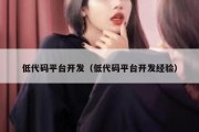 低代码平台开发（低代码平台开发经验）