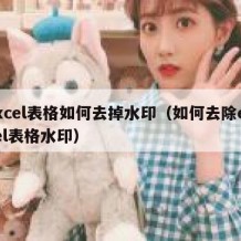 excel表格如何去掉水印（如何去除excel表格水印）