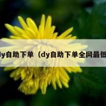 dy自助下单（dy自助下单全网最低）