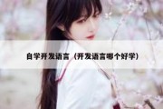 自学开发语言（开发语言哪个好学）