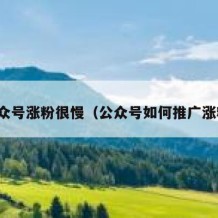 公众号涨粉很慢（公众号如何推广涨粉）