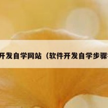 软件开发自学网站（软件开发自学步骤视频）