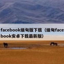 facebook缅甸版下载（缅甸facebook安卓下载最新版）