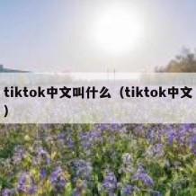 tiktok中文叫什么（tiktok中文）