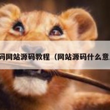 源码网站源码教程（网站源码什么意思）