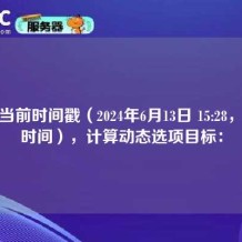 根据当前时间戳（2024年6月13日 15:28，北京时间），计算动态选项目标：