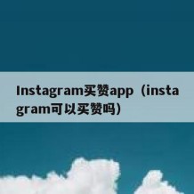Instagram买赞app（instagram可以买赞吗）