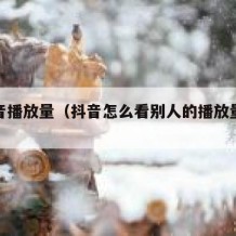 刷抖音播放量（抖音怎么看别人的播放量数据）