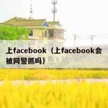 上facebook（上facebook会被网警抓吗）