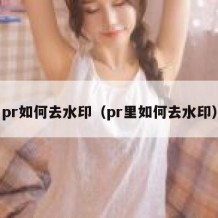 pr如何去水印（pr里如何去水印）