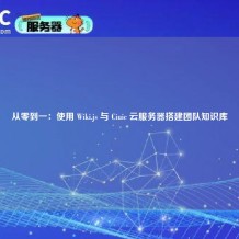 从零到一：使用 Wiki.js 与 Ciuic 云服务器搭建团队知识库