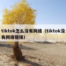 tiktok怎么没有网络（tiktok没有网络链接）
