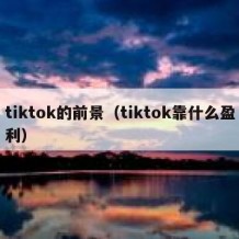 tiktok的前景（tiktok靠什么盈利）