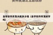 自学软件开发大概多少钱（自学软件开发好学吗）