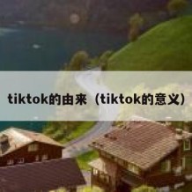tiktok的由来（tiktok的意义）